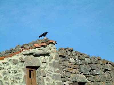 apartamento,cabrales,apartamentos,rural,rurales,en,de,cabrales apartamento,apartamentos,rural,rurales,cabrales